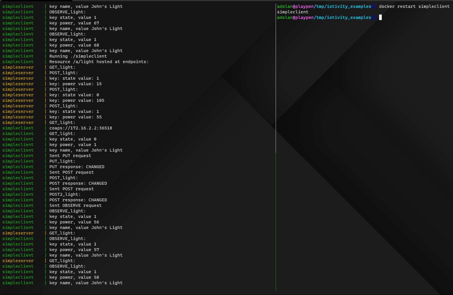 Example of output from `simpleserver` and `simpleclient` interacting.