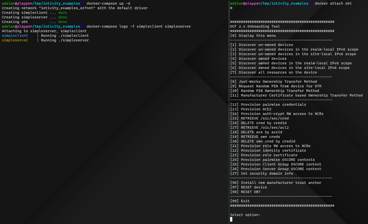 Example output of the commands above.